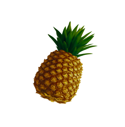 Egzotyk